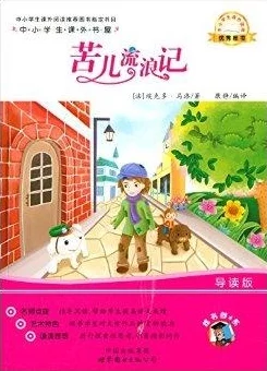 《苦儿流浪记》（法语：Sansfamille）感动全球亿万读者百年经典