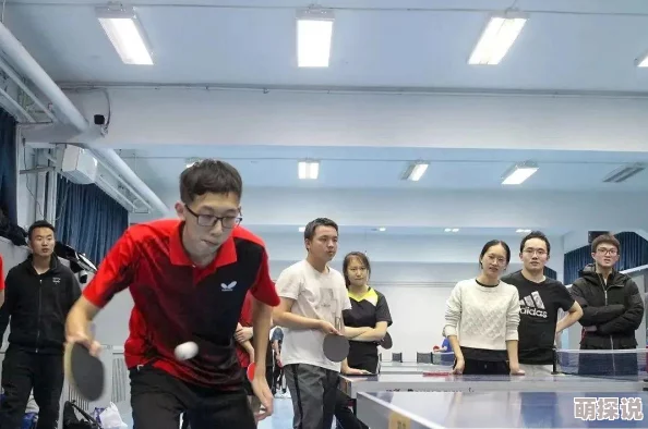 灿烂时光全文阅读探寻人生意义与命运轨迹的动人故事