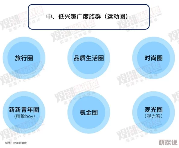 2024热门东方见闻录牌组构建技巧深度解析指南