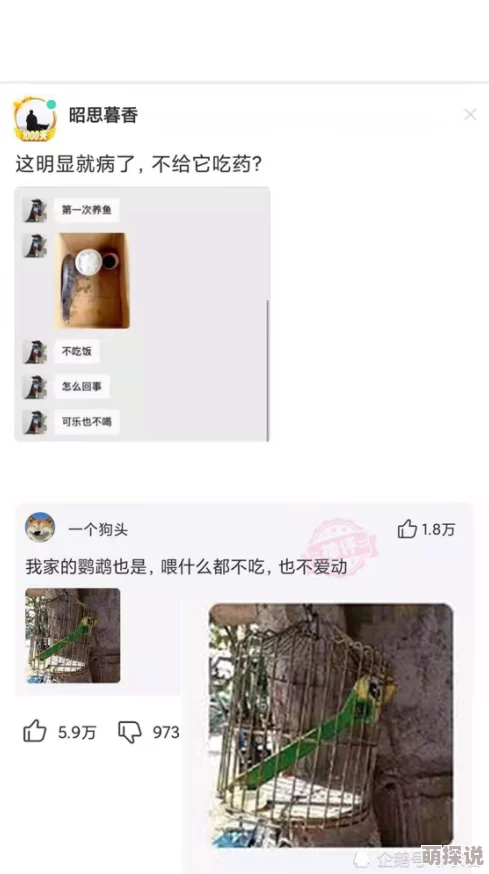 男人用肌肌捅女人令人震惊的视频曝光引发网友强烈谴责