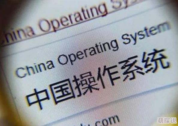 国产免费区据传新增多个未审核内容服务器访问速度提升