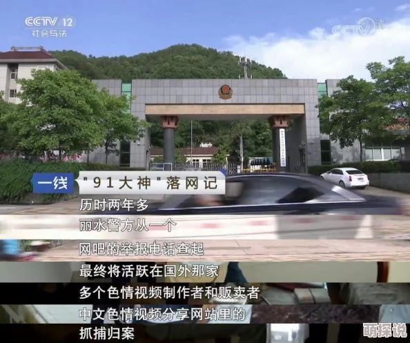 91色传播非法色情内容危害身心健康污染网络环境传播途径隐蔽难以监管