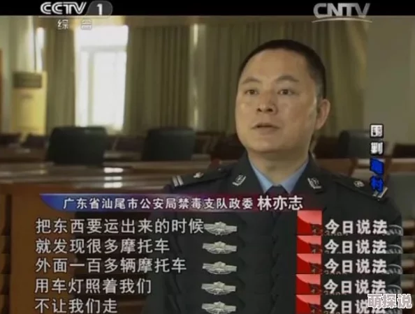 卧底女检察官许婷潜入跨国贩毒集团一年终破大案