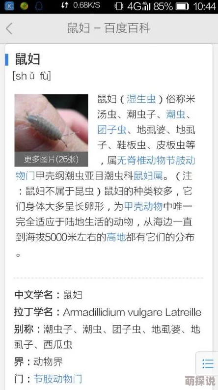 黑硬粗长欧美色啪视频现已下架敬请关注其他正规影片