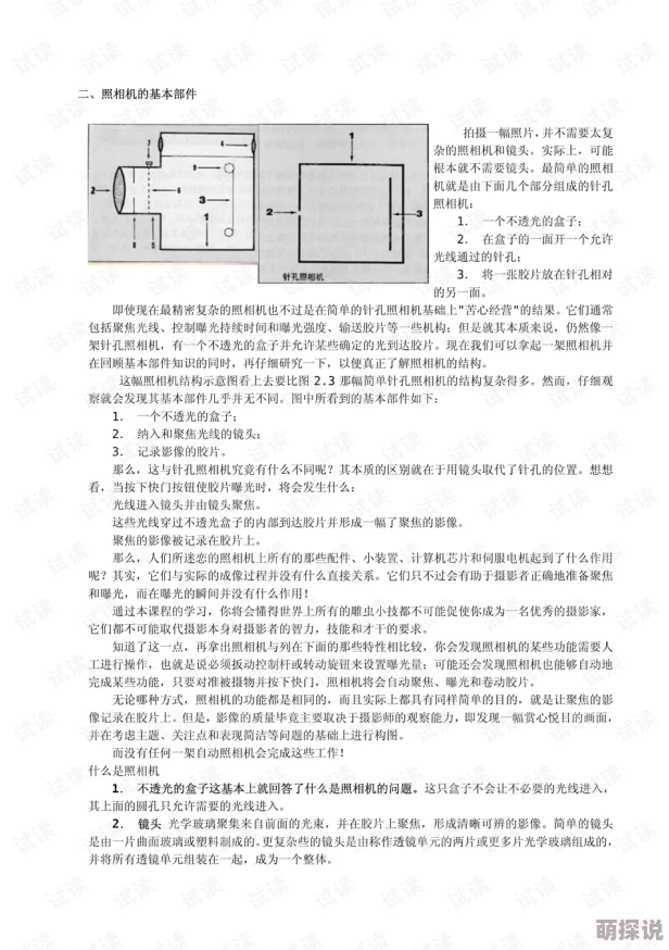 荒野植被全文免费阅读生存指南爱好者必读内容详实引人入胜