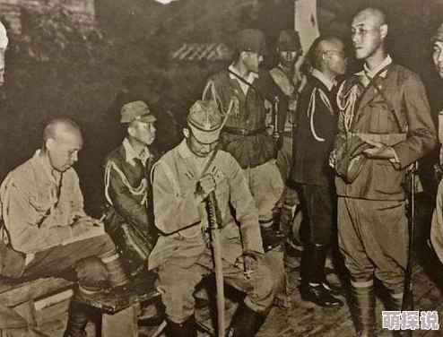 舰指太平洋：老司机深度解析最新热门战术心得分享