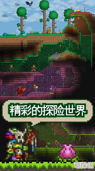 泰拉瑞亚最新版丘比特宠物获取与属性全攻略
