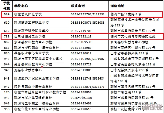 2024热门时空之刃：全职业高效连招技巧与策略解析
