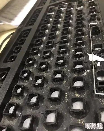 一级片下载宝宝巴士启蒙音乐剧之细菌来了健康知识伴成长快乐学习乐无穷