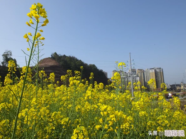 丧尸围城末日世界：全新空地系统玩法技巧与热门攻略详解