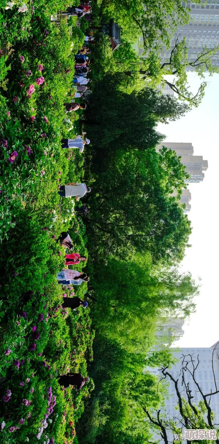 爱人同志全集免费观看探索革命时期爱情与信仰的时代主题展现特殊年代的个人命运与情感抉择