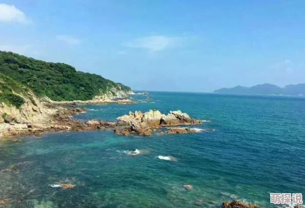 《捕鱼来了》最新热门海龟图鉴：深度解析基本属性与技巧分享