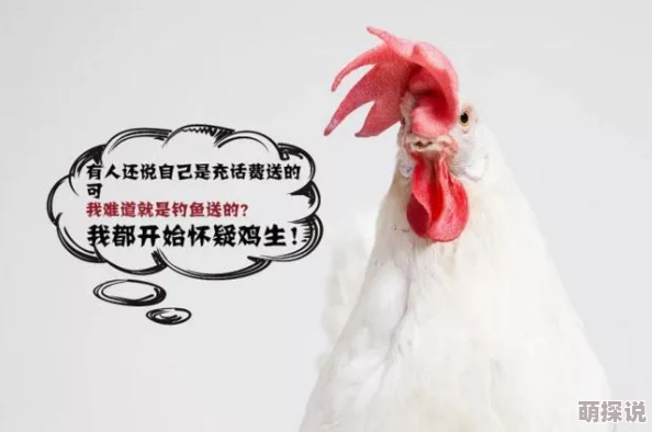 鸡鸡桶鸡鸡为何服务周到热情好客顾客至上宾至如归