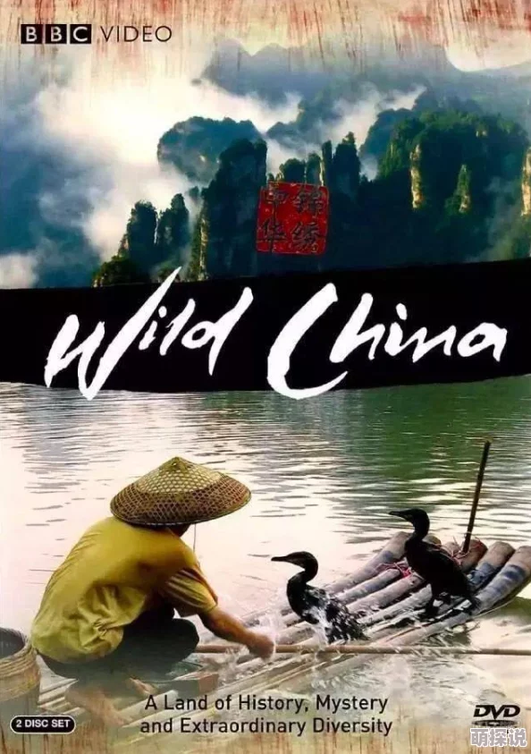 中国高清69 HD更因为其画质清晰内容丰富所以受到用户欢迎