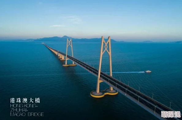 欧美高清一区为何备受青睐因其制作精良内容引人入胜