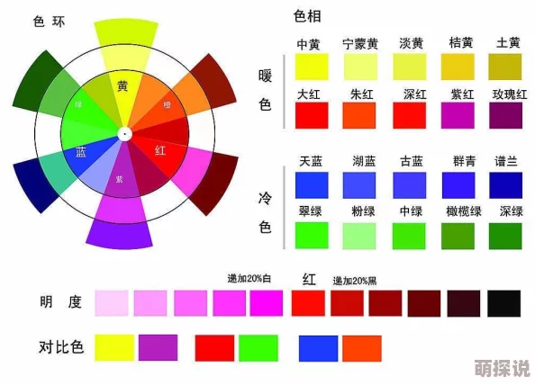 婷色为何风靡一时因为它色彩多样选择性强满足不同人群的个性化需求