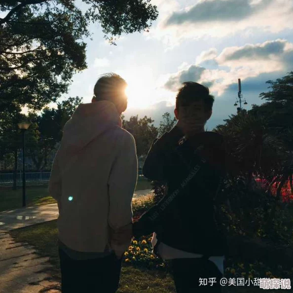 国产男男Gay 体育生图片为什么满足了特定人群的审美需求和情感共鸣为何引发热议