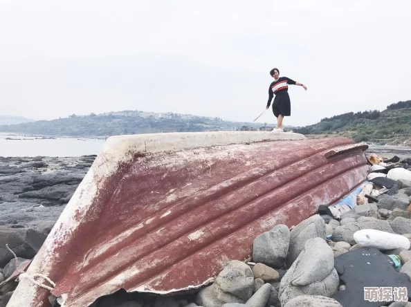 为什么精品91海角乱免费观看无需付费为何吸引众多用户