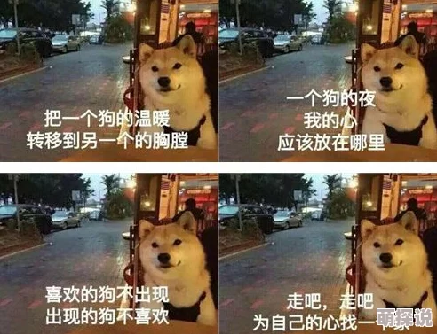 为何引发讨论少妇与公豬交HDXXX可能是因为其内容的争议性和话题性