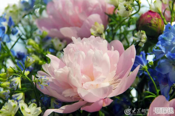 久久性为什么绿色环保健康安全赢得消费者信赖