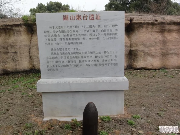 水晶之歌草木之灵：全新热门要塞属性深度解析与介绍