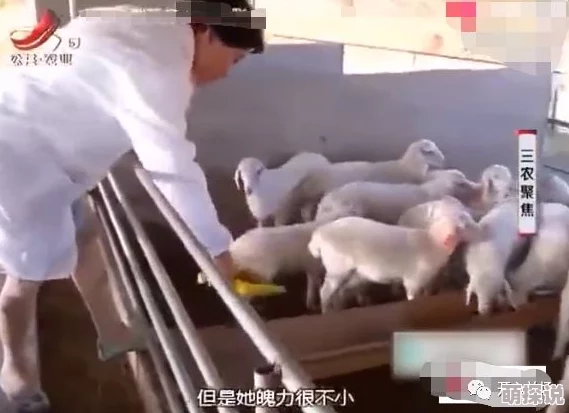 爱爱打炮影院为什么支持多种设备播放为何随时随地都能看