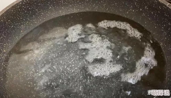 西施被焯出白水了怎么办为何如此火爆平价美味又营养操作便捷适合新手