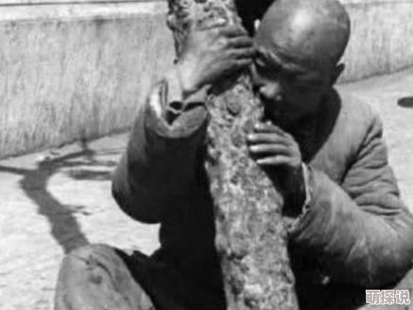 《捕鱼来了》最新攻略：冰冻鱼大招精准释放技巧与热门玩法分享