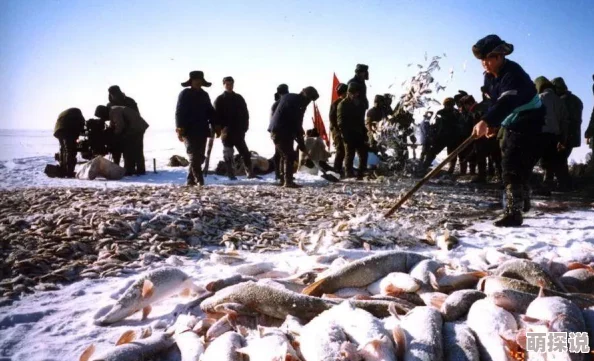 《捕鱼来了》最新攻略：冰冻鱼大招精准释放技巧与热门玩法分享