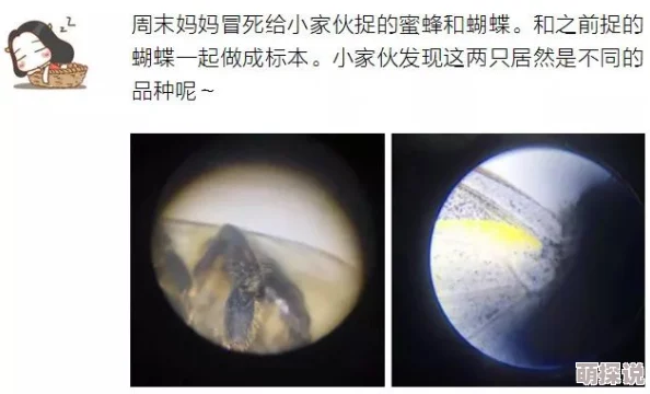 为何如此吸引眼球欧美一级特黄大片做受全部脱高品质的制作水准令人叹为观止