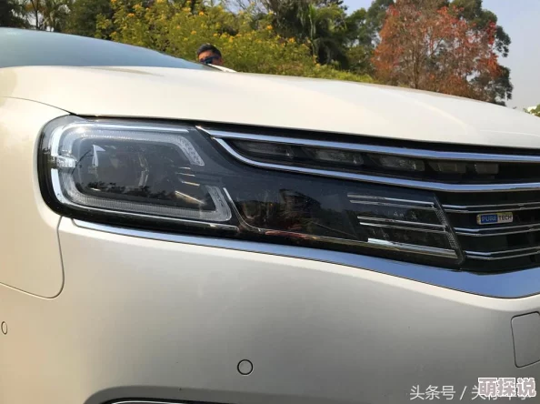 动漫美女被C为何经久不衰因为它迎合了特定群体的需求