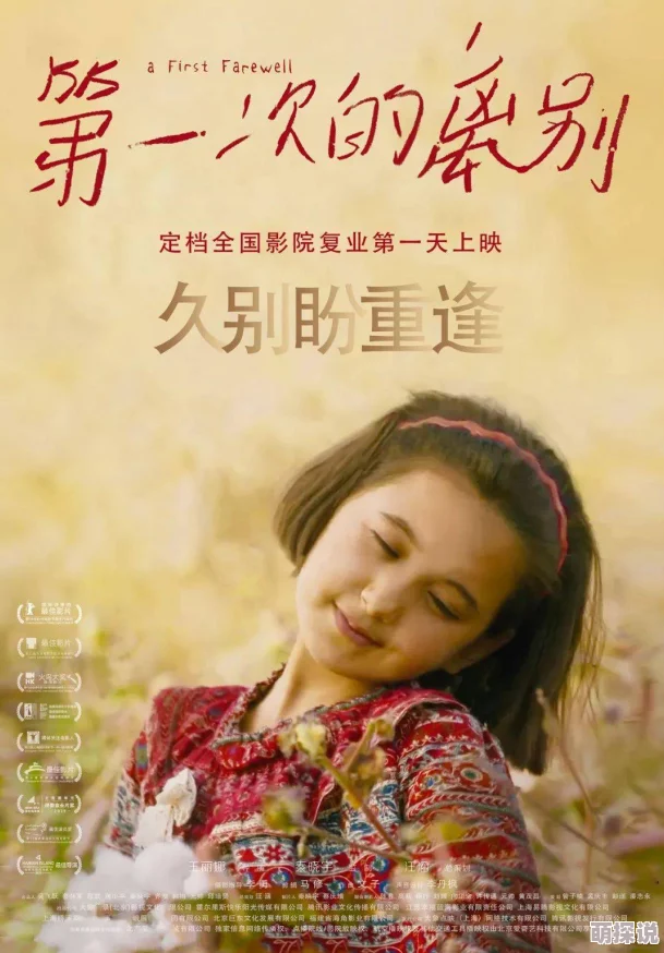 欧美一级免费为何资源丰富更新快备受推崇