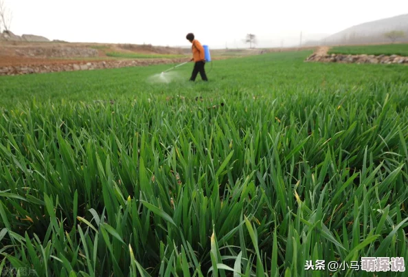 免费在线看黄为什么省钱不用花钱就能看为何如此受欢迎 免费在线看黄为什么省钱不用花钱就能看为何如此受欢迎