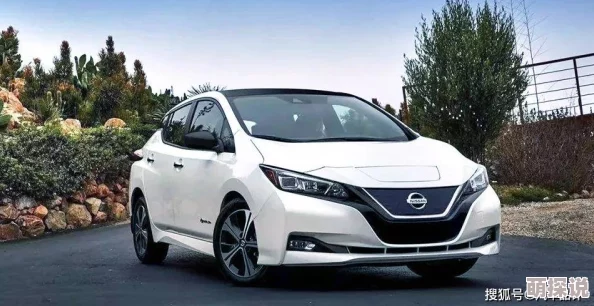 国产日产精品久久久久兰花为什么界面简洁操作方便为何深受用户喜爱 国产日产精品久久久久兰花为什么界面简洁操作方便为何深受用户喜爱