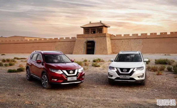 国产日产精品久久久久兰花为什么界面简洁操作方便为何深受用户喜爱 国产日产精品久久久久兰花为什么界面简洁操作方便为何深受用户喜爱