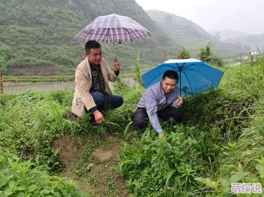 扒开美女 狂揉 拔萝卜为什么如此流行因为它简单粗暴直接刺激感官