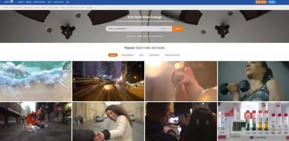 免费无遮挡 视频网站因为界面简洁操作容易所以很受欢迎
