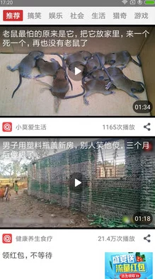女被C游戏模拟器为什么容易传播为何利用猎奇心理吸引眼球