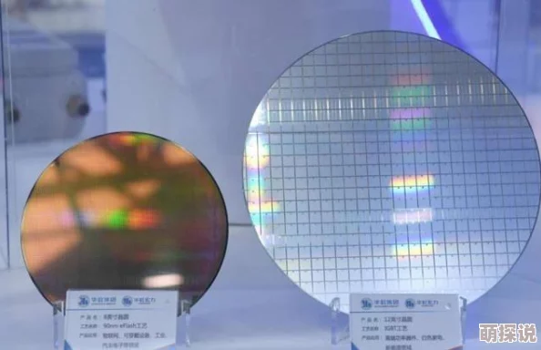 球球大作战2024最新技巧：快速分身吃球策略，实现逆天反杀对手秘籍