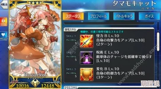 命运冠位指定FGO：玉藻喵宝具本与幕间物语2025热门详解