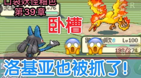 《口袋妖怪重制》11.11新服盛启，热门新区活动火爆来袭！