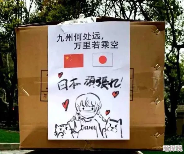《守望先锋》新版本：3大要素洞悉英雄强弱，解锁热门竞技新视角