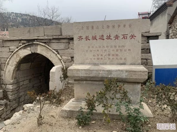 《守望先锋》新版本：3大要素洞悉英雄强弱，解锁热门竞技新视角
