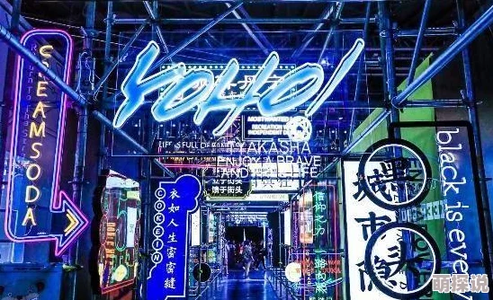 国产精品第一区为什么引领潮流推陈出新不断突破为何备受瞩目