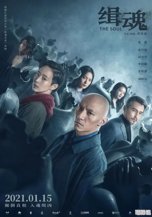 三级理论片为什么突破常规电影表达为何带来新奇的观影体验
