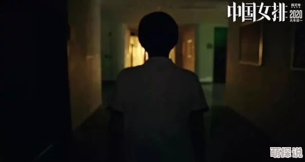 三级理论片为什么突破常规电影表达为何带来新奇的观影体验