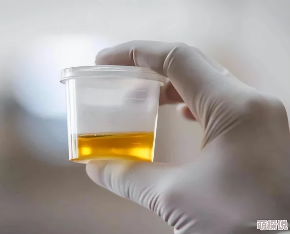 久久久黄色为什么具有独特的文化象征意义为何在不同文化中受到重视