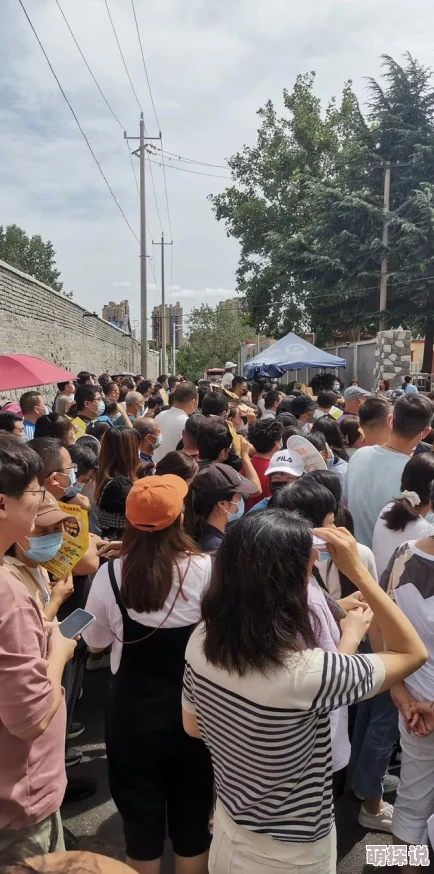 放开那三国2平民玩家必备：2024最新快速刷银币全攻略