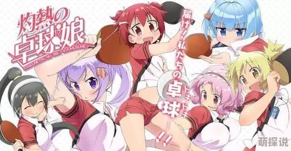 2024新番肉食有哪些因为炫酷的技能和热血的战斗场面为何让人热血沸腾