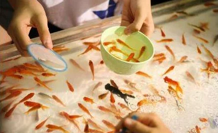 人人澡人人摸为什么它如此风靡因为它简单易上手的操作和老少皆宜的玩法